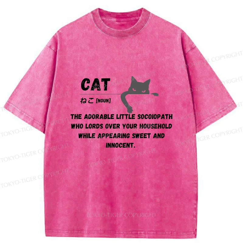 Tokyo-Tiger Definition Of Cat Washed T-Shirt