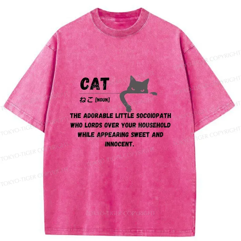 Tokyo-Tiger Definition Of Cat Washed T-Shirt