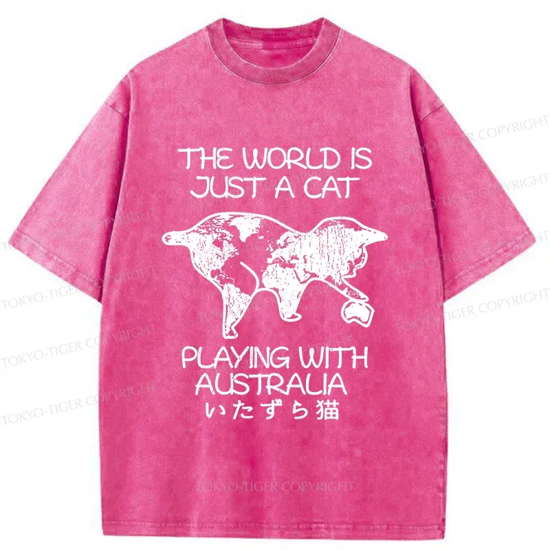Tokyo-Tiger Funny World With Cat Washed T-Shirt