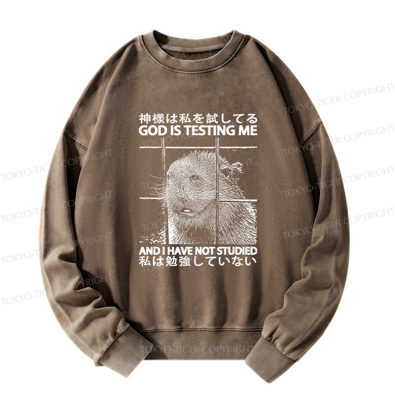 Tokyo-Tiger God Is Testing Me Washed Sweatshirt