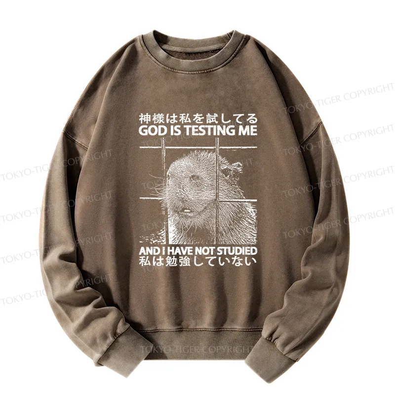 Tokyo-Tiger God Is Testing Me Washed Sweatshirt
