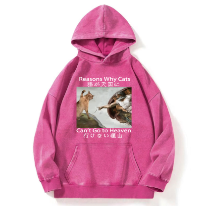 Tokyo-Tiger Naughty Cat Can't Go To Heaven Washed Hoodie