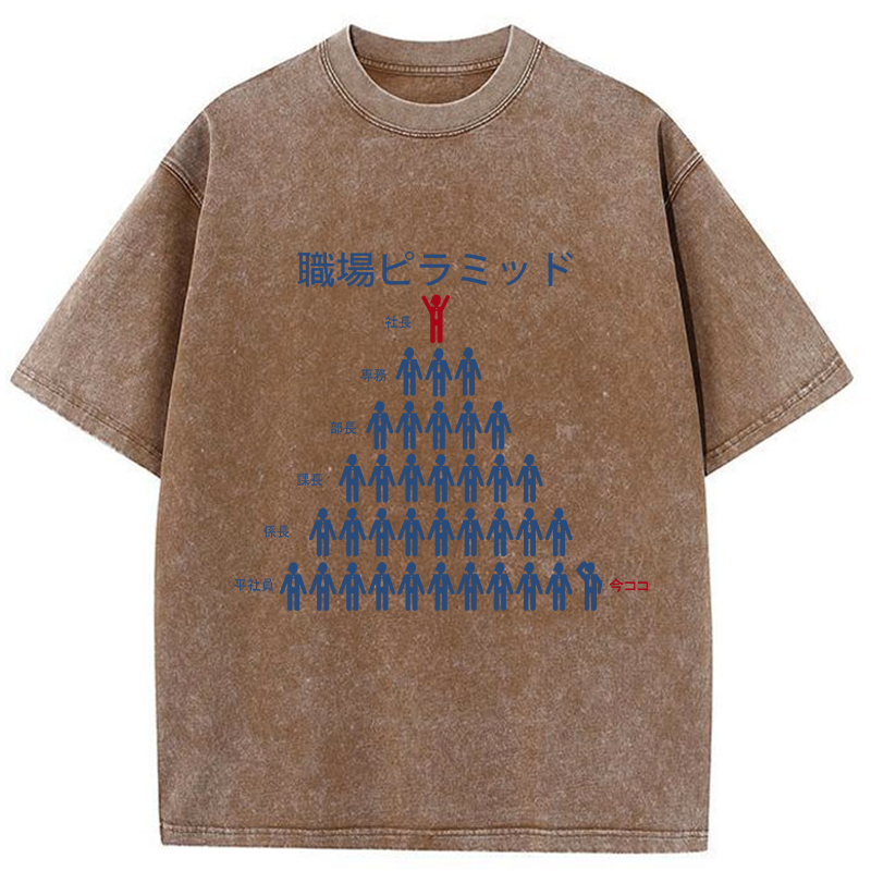 Tokyo-Tiger Workplace Pyramid Washed T-Shirt