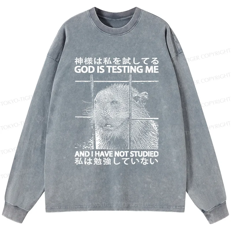 Tokyo-Tiger God Is Testing Me Washed Long Sleeve T-Shirt