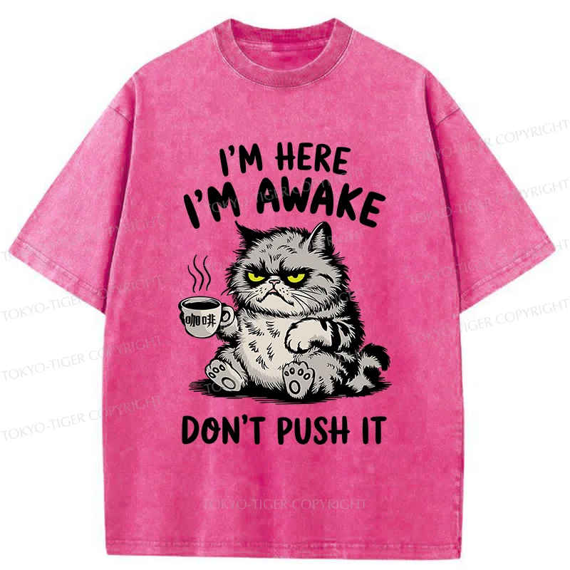 Tokyo-Tiger Tired Cat Washed T-Shirt