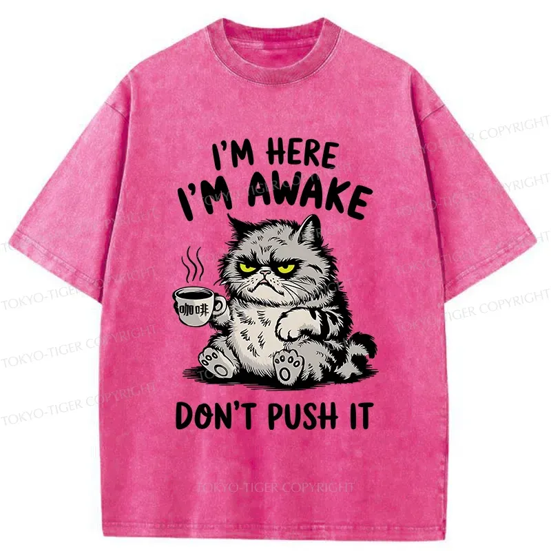 Tokyo-Tiger Tired Cat Washed T-Shirt