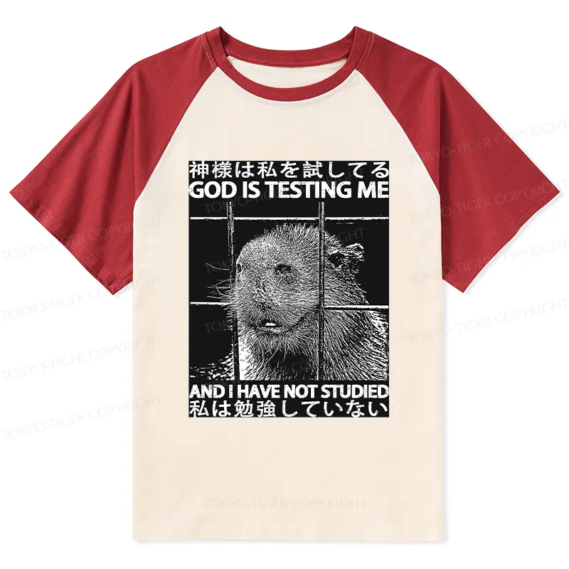 Tokyo-Tiger God Is Testing Me Raglan T-shirt