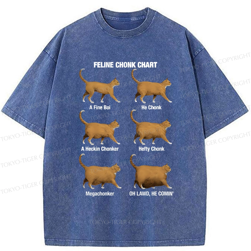 Tokyo-Tiger Feline Chonk Chart Washed T-Shirt