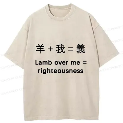 Tokyo-Tiger Constitution Of Justice Washed T-Shirt