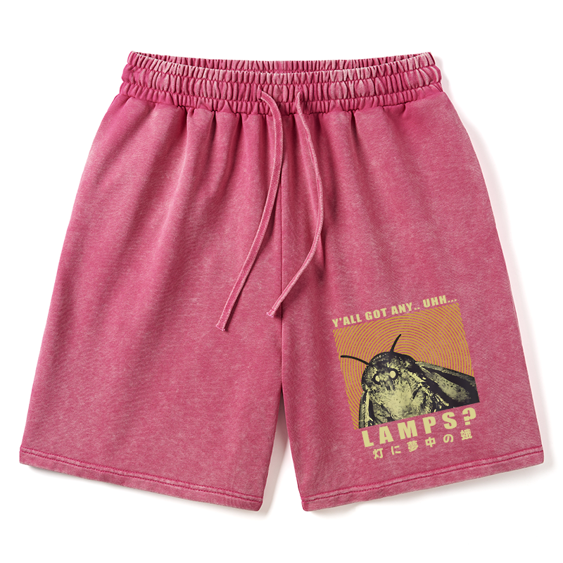 Tokyo-Tiger Moth Obsessed With The Light Washed Shorts