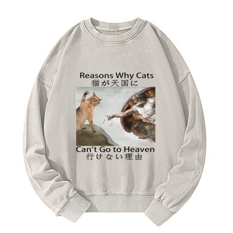 Tokyo-Tiger Naughty Cat Can't Go To Heaven Washed Sweatshirt