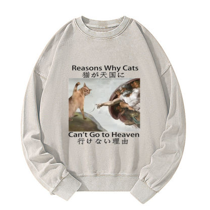 Tokyo-Tiger Naughty Cat Can't Go To Heaven Washed Sweatshirt
