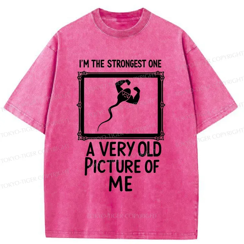 Tokyo-Tiger Old Photos Funny Washed T-Shirt
