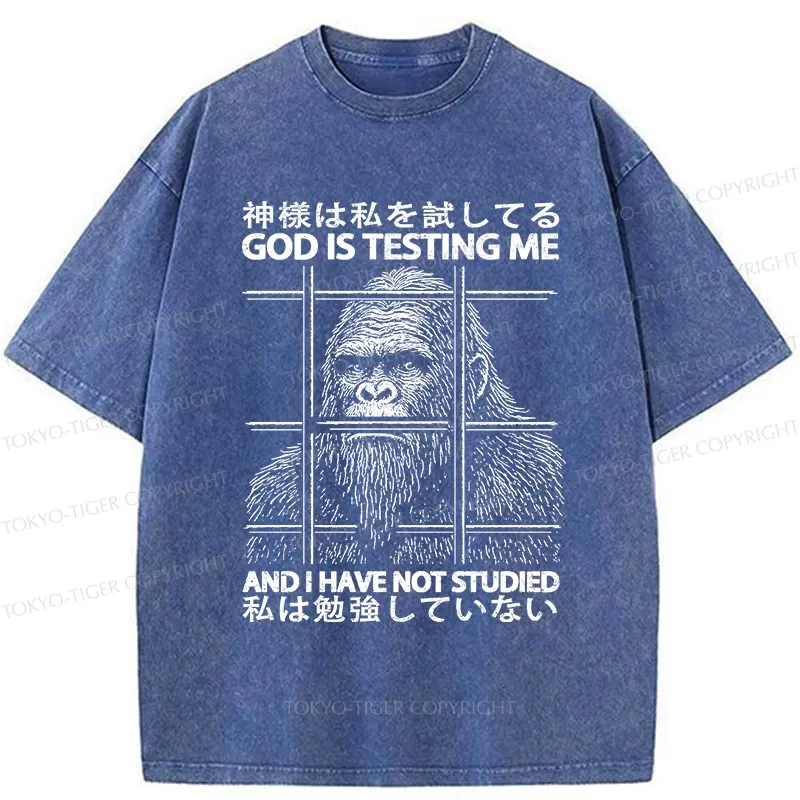 Tokyo-Tiger Funny God Is Testing Me Washed T-Shirt