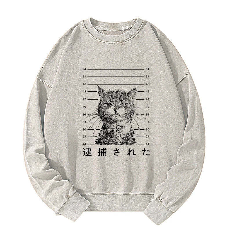 Tokyo-Tiger Cat That Was Arrested Washed Sweatshirt Sale