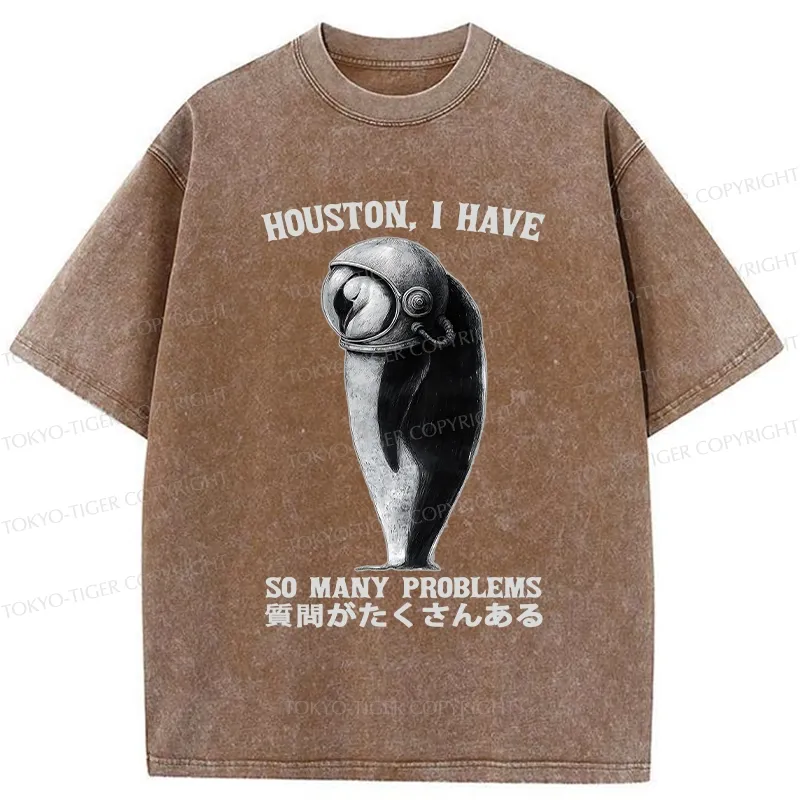Tokyo-Tiger I Have So Many Problems Washed T-Shirt