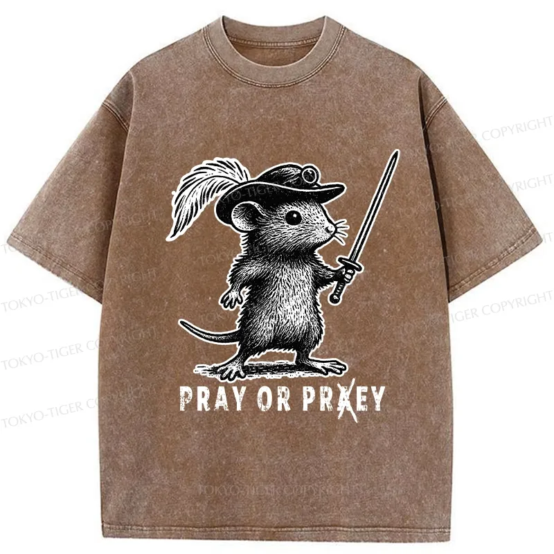 Tokyo-Tiger Pray Or Prey Washed T-Shirt