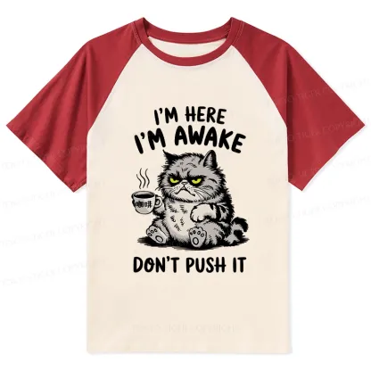 Tokyo-Tiger Tired Cat Raglan T-shirt