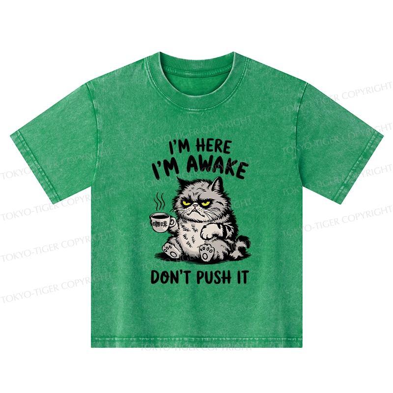 Tokyo-Tiger Tired Cat Kids Washed T-Shirt