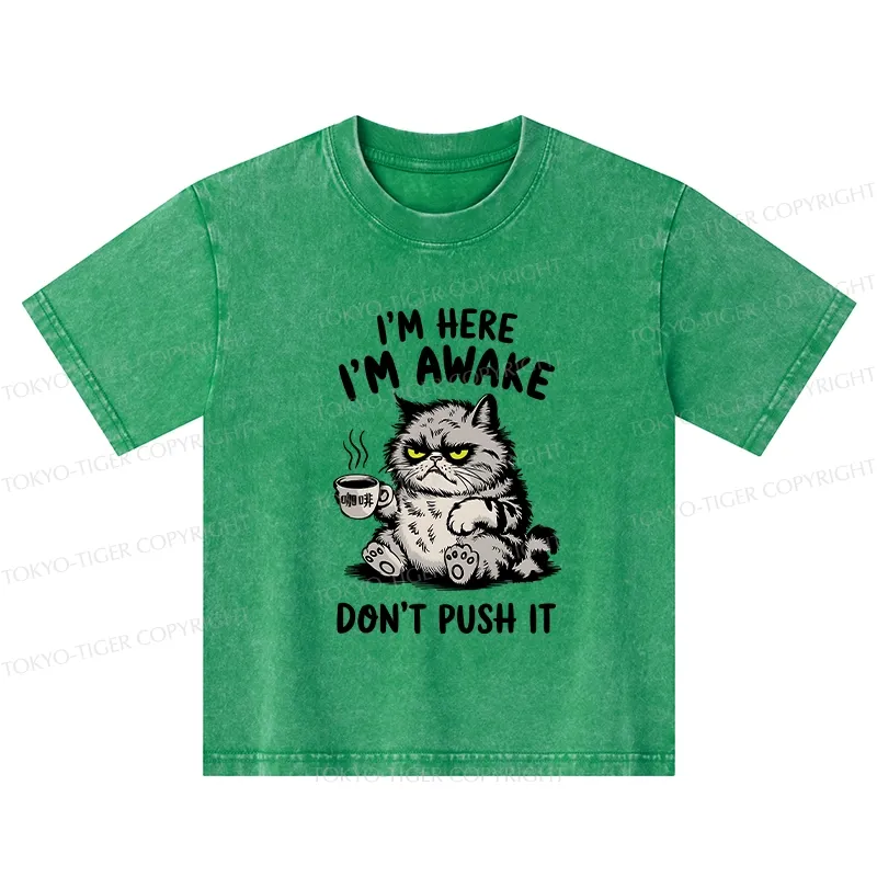 Tokyo-Tiger Tired Cat Kids Washed T-Shirt