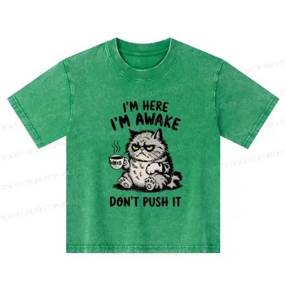 Tokyo-Tiger Tired Cat Kids Washed T-Shirt