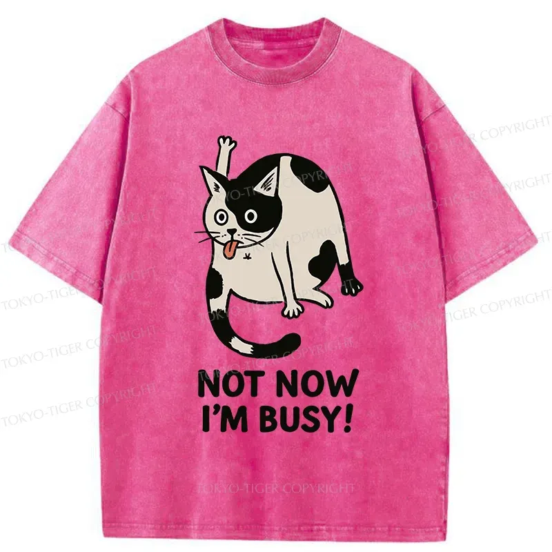 Tokyo-Tiger Busy Cat Washed T-Shirt