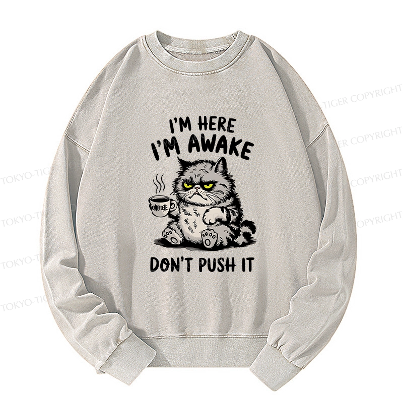 Tokyo-Tiger Tired Cat Washed Sweatshirt