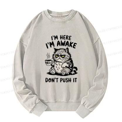 Tokyo-Tiger Tired Cat Washed Sweatshirt