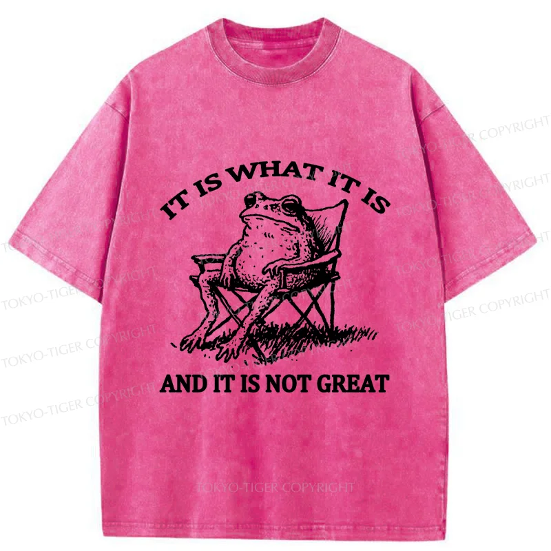 Tokyo-Tiger Resting Frog Funny Washed T-Shirt