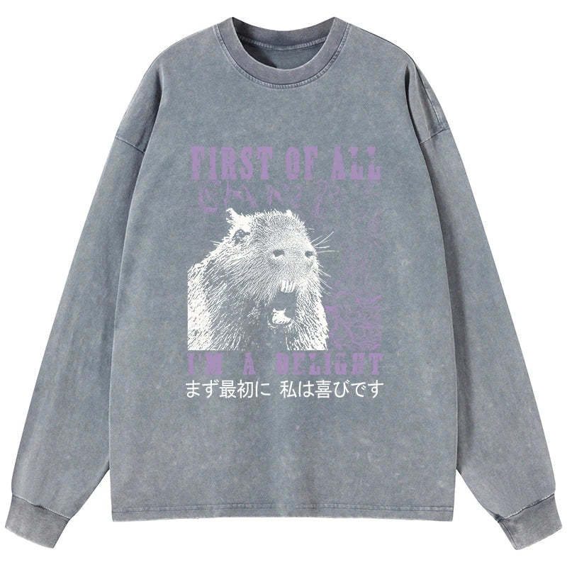 Tokyo-Tiger First Of All I'm A Delight Washed Long Sleeve T-Shirt