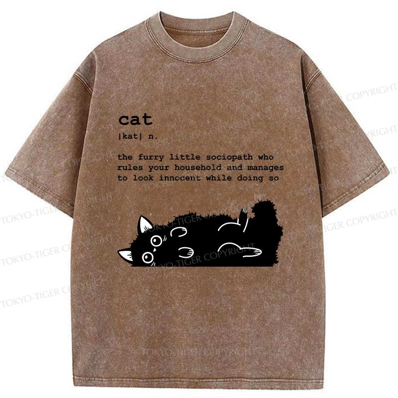 Tokyo-Tiger Definition Of Cat Funny Washed T-Shirt