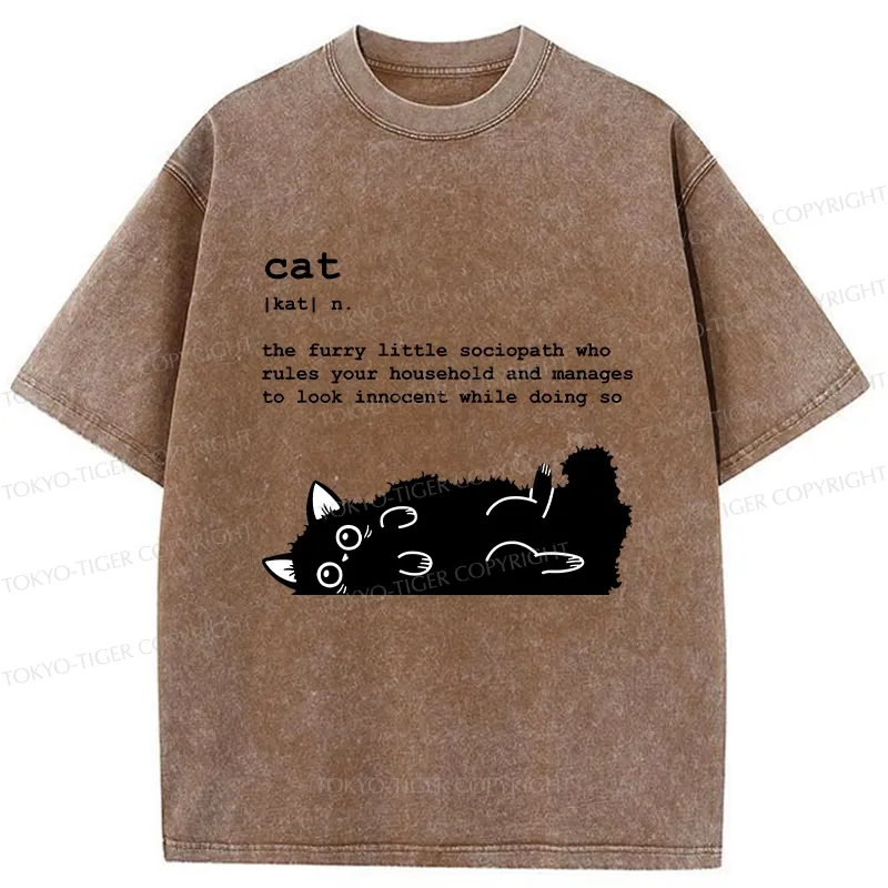 Tokyo-Tiger Definition Of Cat Funny Washed T-Shirt