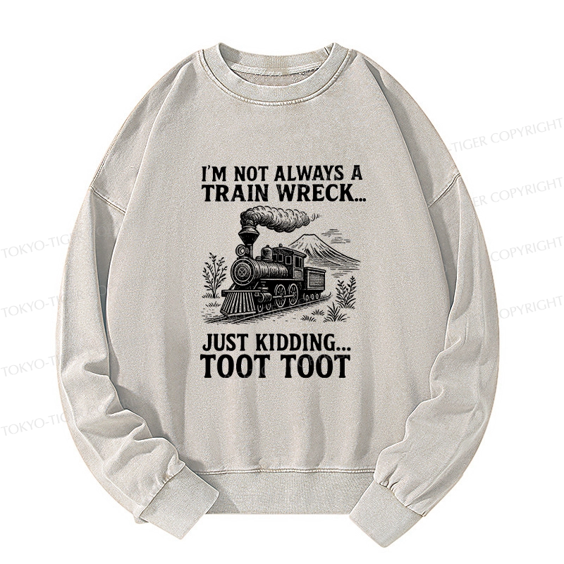 Tokyo-Tiger Funny Train Jokes Washed Sweatshirt