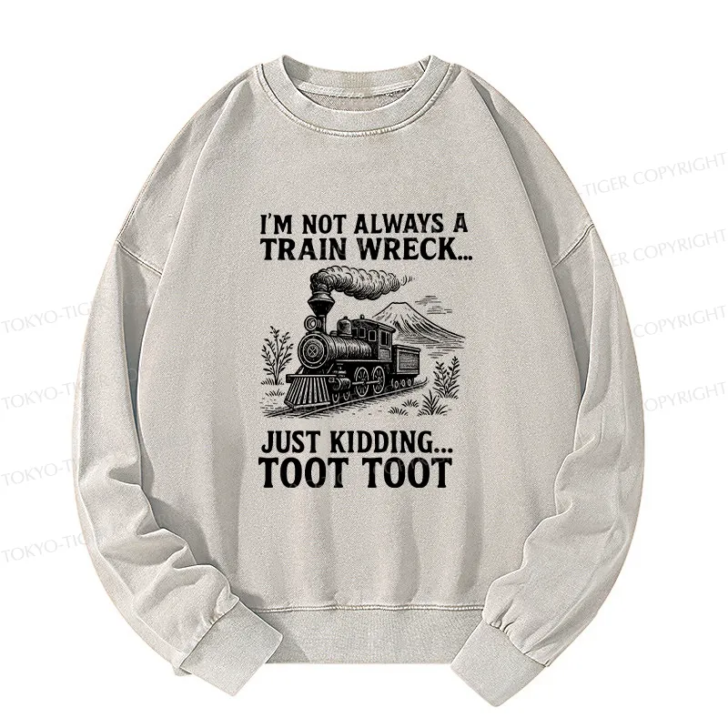 Tokyo-Tiger Funny Train Jokes Washed Sweatshirt