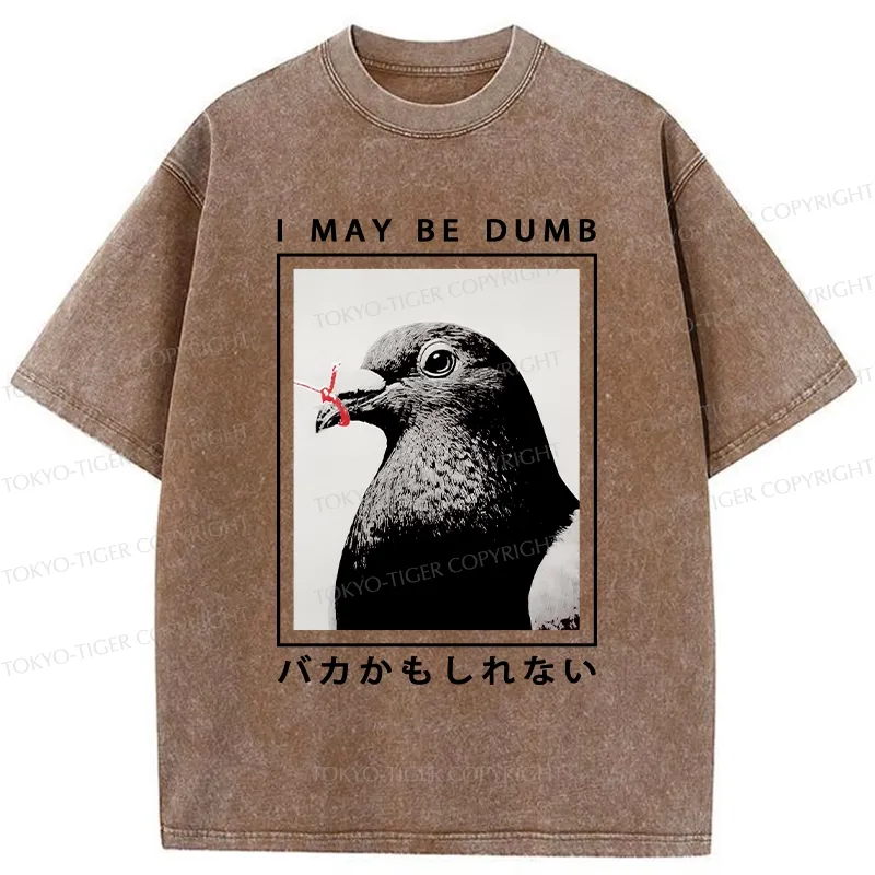 Tokyo-Tiger I May Be Dumb Funny Washed T-Shirt
