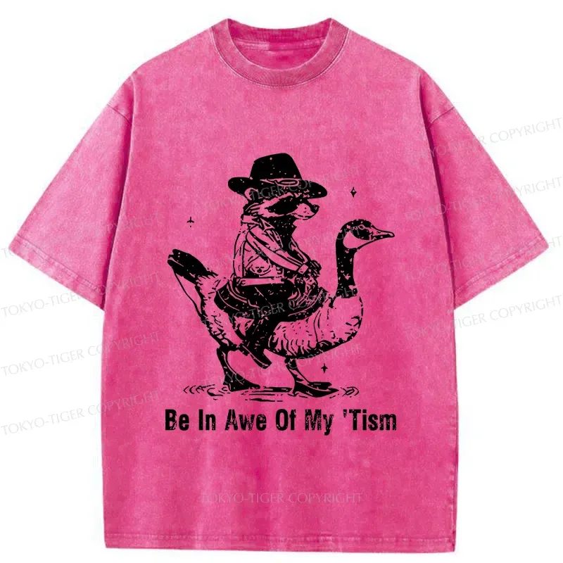 Tokyo-Tiger Raccoon Riding A Goose Washed T-Shirt