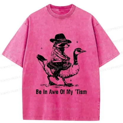 Tokyo-Tiger Raccoon Riding A Goose Washed T-Shirt
