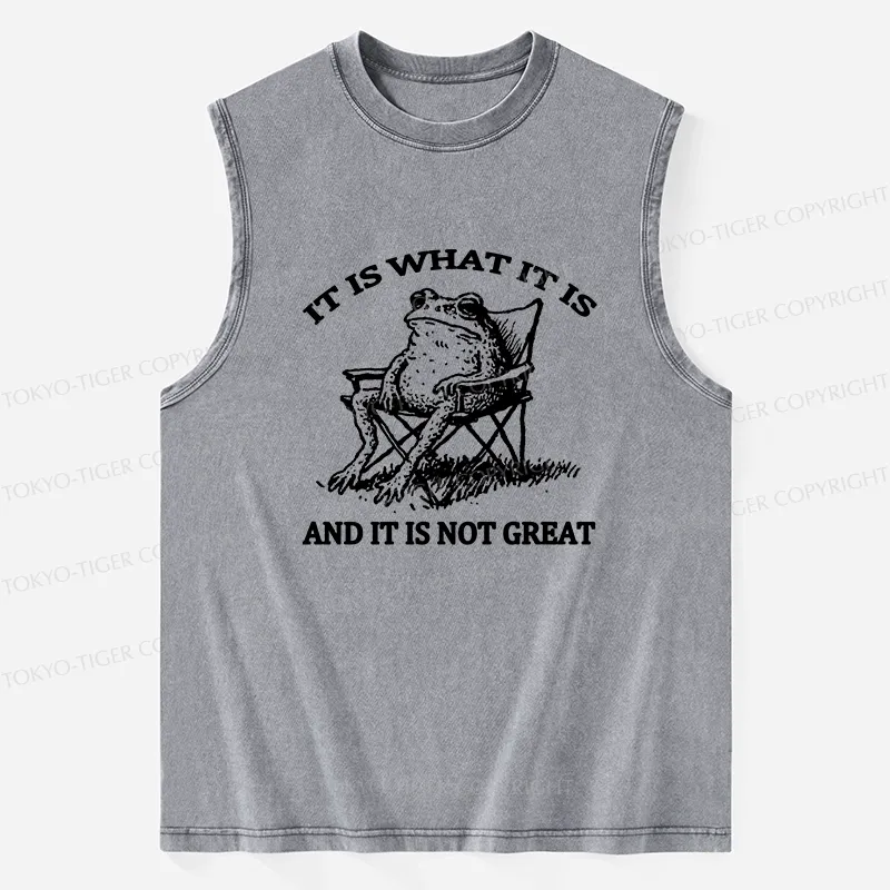 Tokyo-Tiger Resting Frog Funny Washed Tank