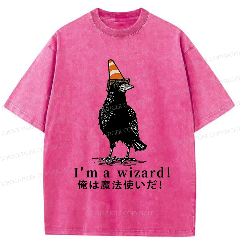 Tokyo-Tiger Magic Crow Washed T-Shirt