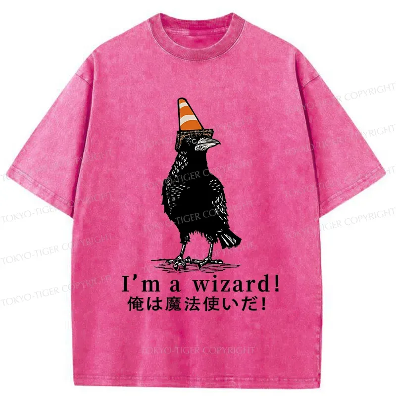 Tokyo-Tiger Magic Crow Washed T-Shirt