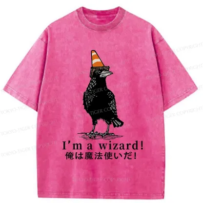 Tokyo-Tiger Magic Crow Washed T-Shirt