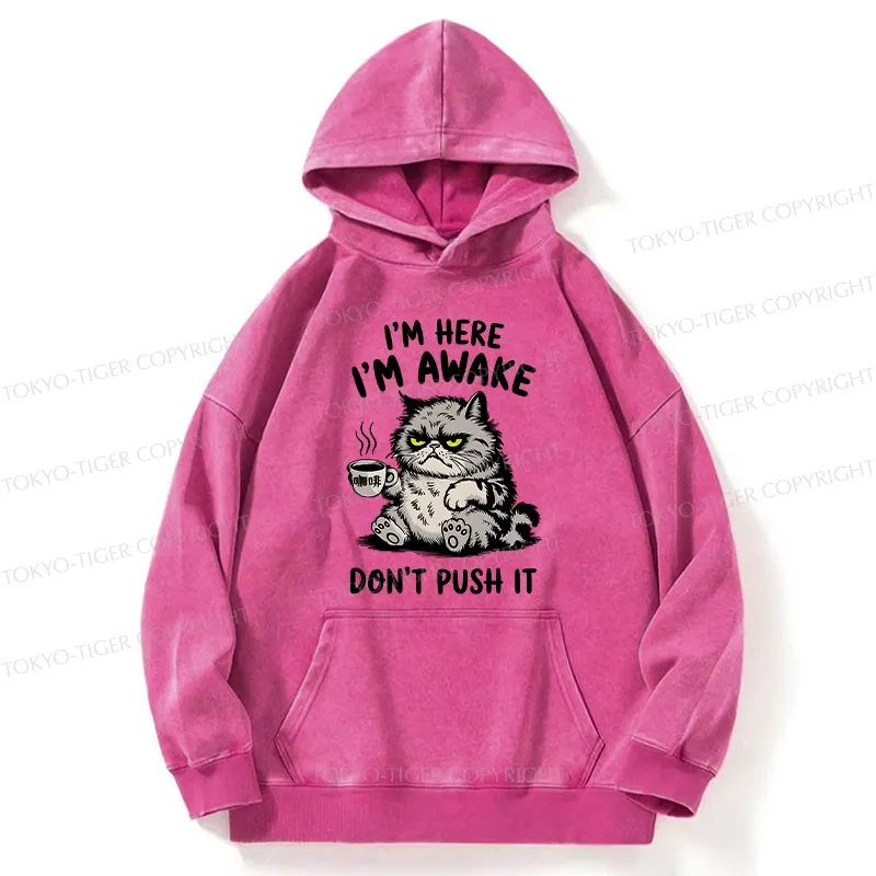 Tokyo-Tiger Tired Cat Washed Hoodie
