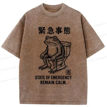 Tokyo-Tiger Funny Remain Calm Frog Washed T-Shirt