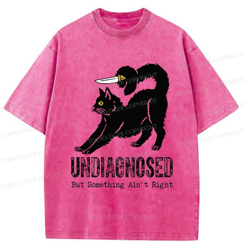 Tokyo-Tiger Cat With Knife Washed T-Shirt