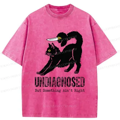 Tokyo-Tiger Cat With Knife Washed T-Shirt