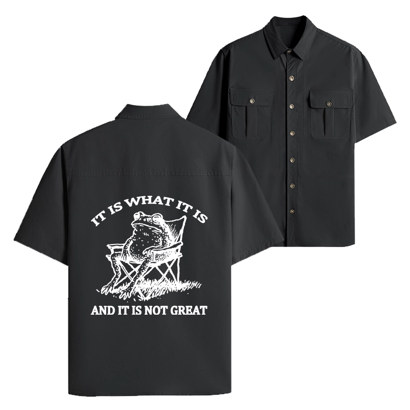 Tokyo-Tiger Resting Frog Funny Work Shirt