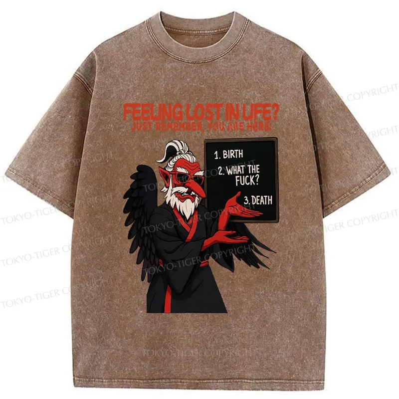 Tokyo-Tiger The Three Stages Of Life Funny Washed T-Shirt