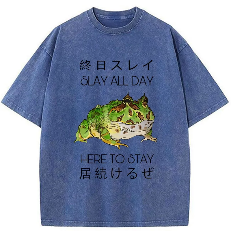Tokyo-Tiger Slay All Day Washed T-Shirt