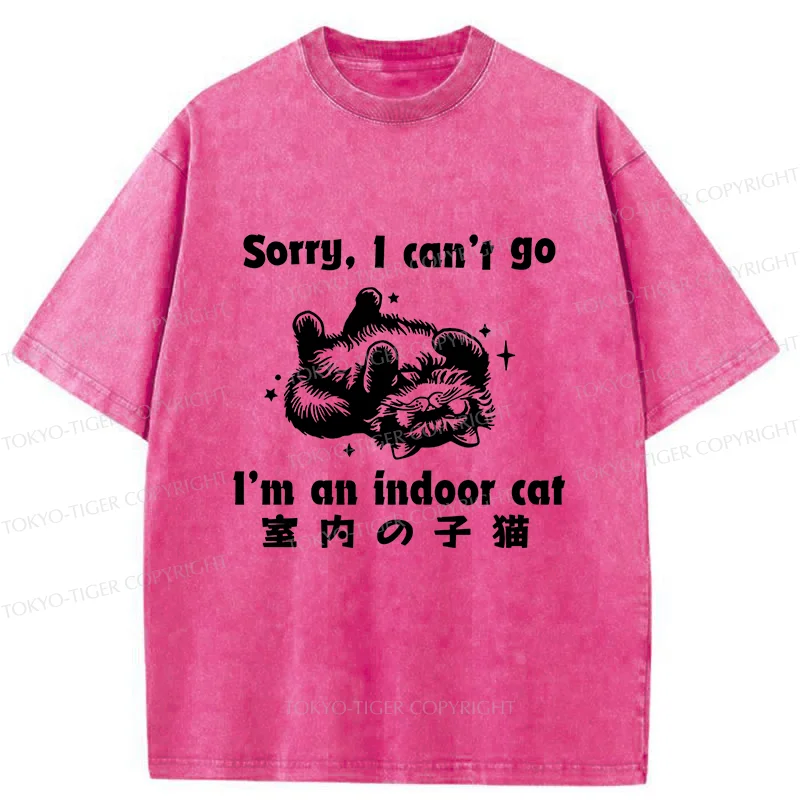 Tokyo-Tiger House Cat Washed T-Shirt