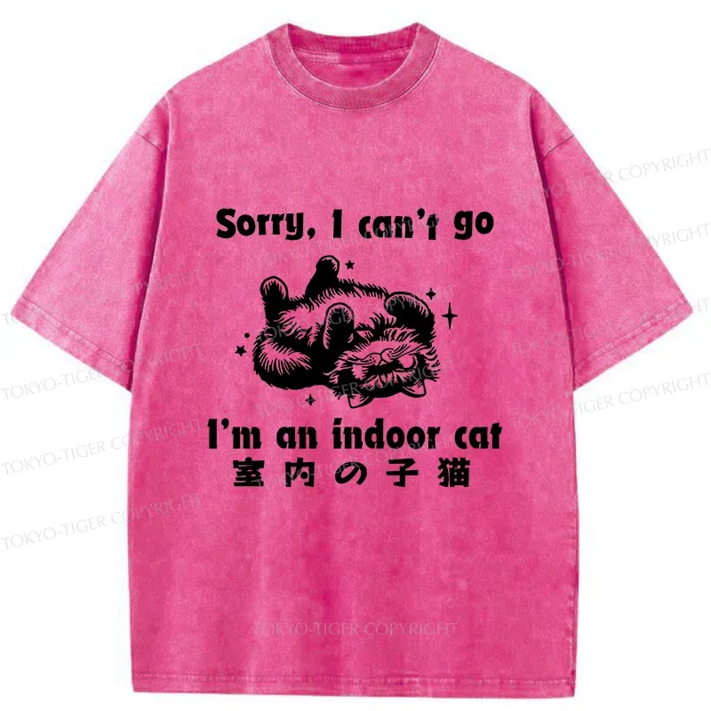 Tokyo-Tiger House Cat Washed T-Shirt